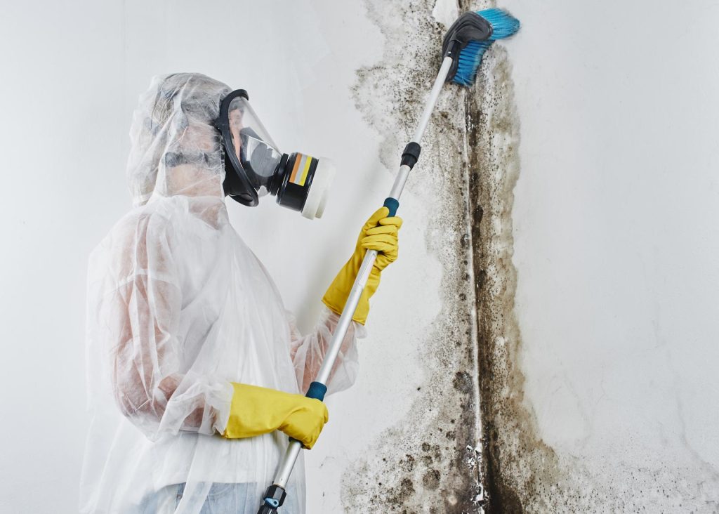 Workers on a mold remediation job