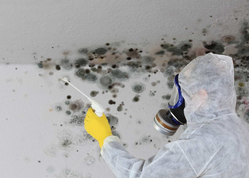 Technician working on a mold remediation and removal project